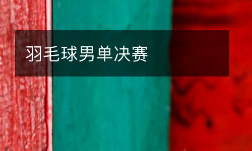 羽毛球男单决赛
